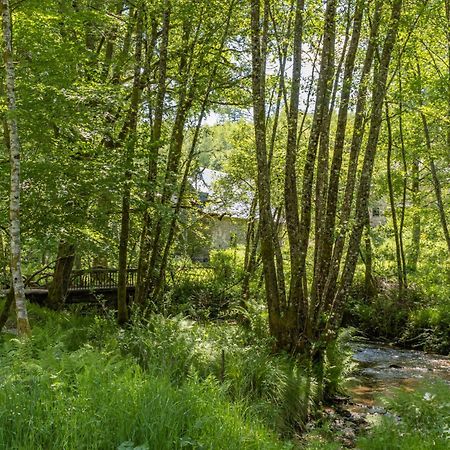 Gite Nature Le Moulin Vitrac-sur-Montane Εξωτερικό φωτογραφία