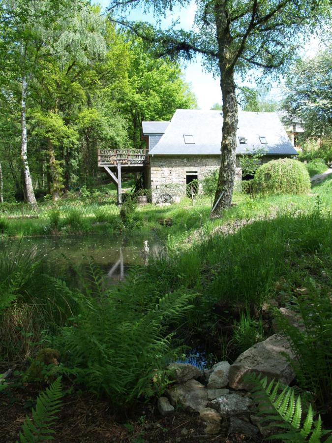 Gite Nature Le Moulin Vitrac-sur-Montane Εξωτερικό φωτογραφία