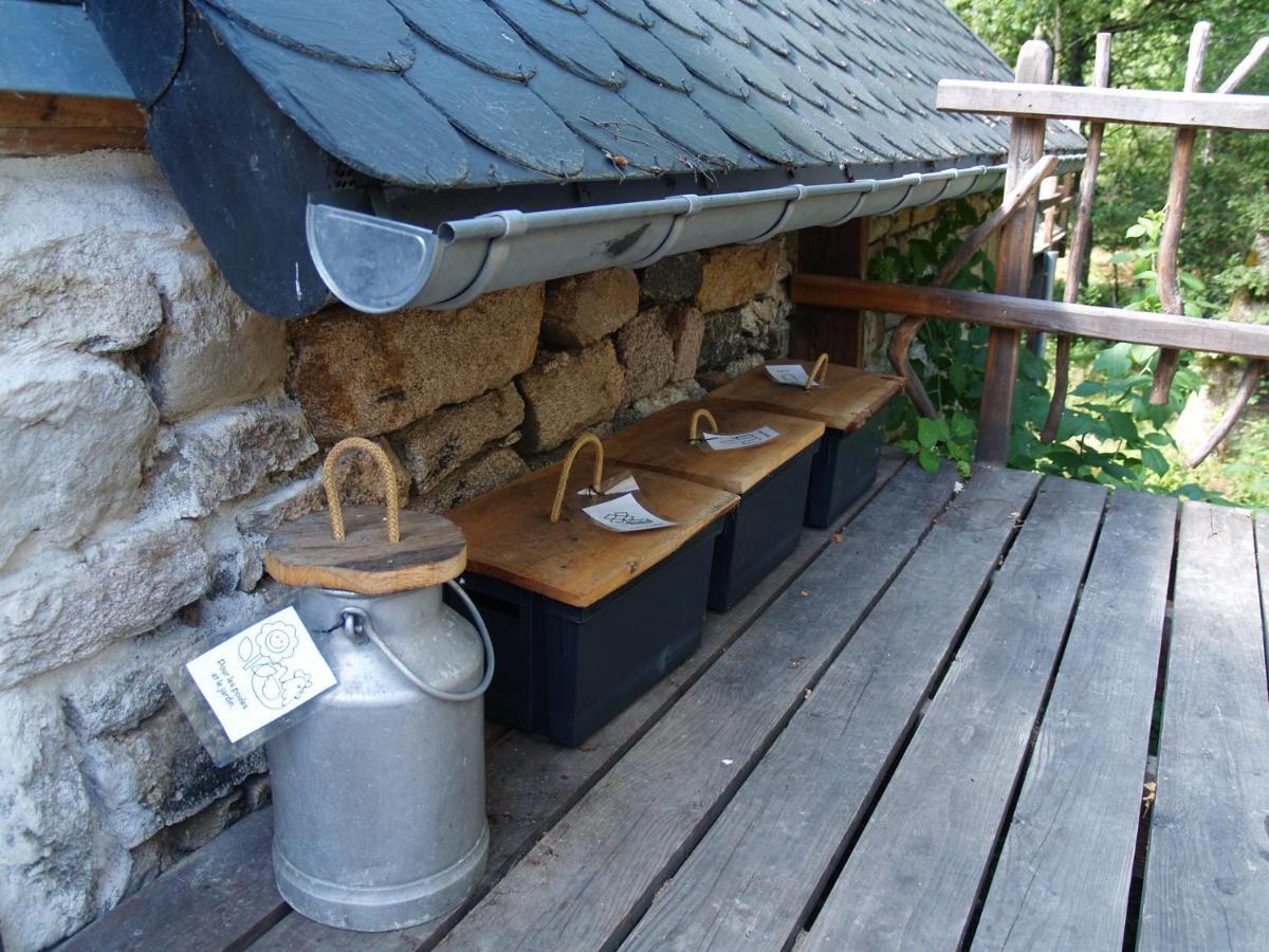Gite Nature Le Moulin Vitrac-sur-Montane Εξωτερικό φωτογραφία