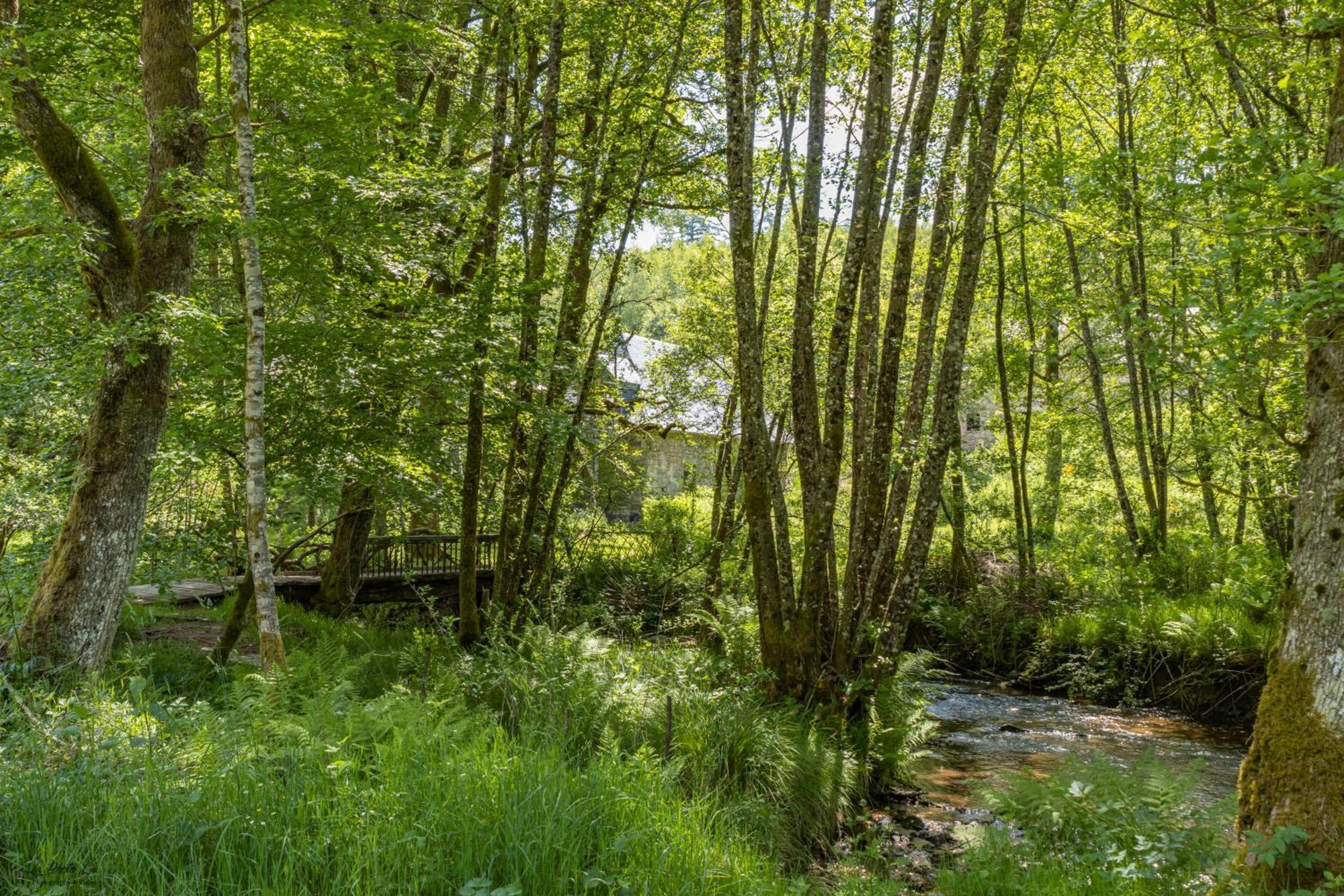 Gite Nature Le Moulin Vitrac-sur-Montane Εξωτερικό φωτογραφία