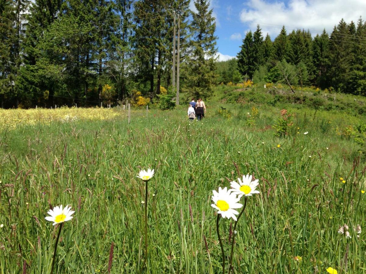 Gite Nature Le Moulin Vitrac-sur-Montane Εξωτερικό φωτογραφία
