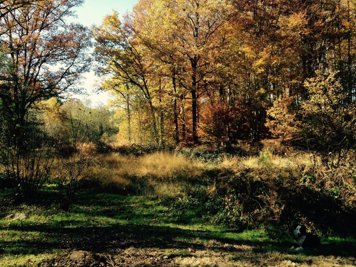 Gite Nature Le Moulin Vitrac-sur-Montane Εξωτερικό φωτογραφία