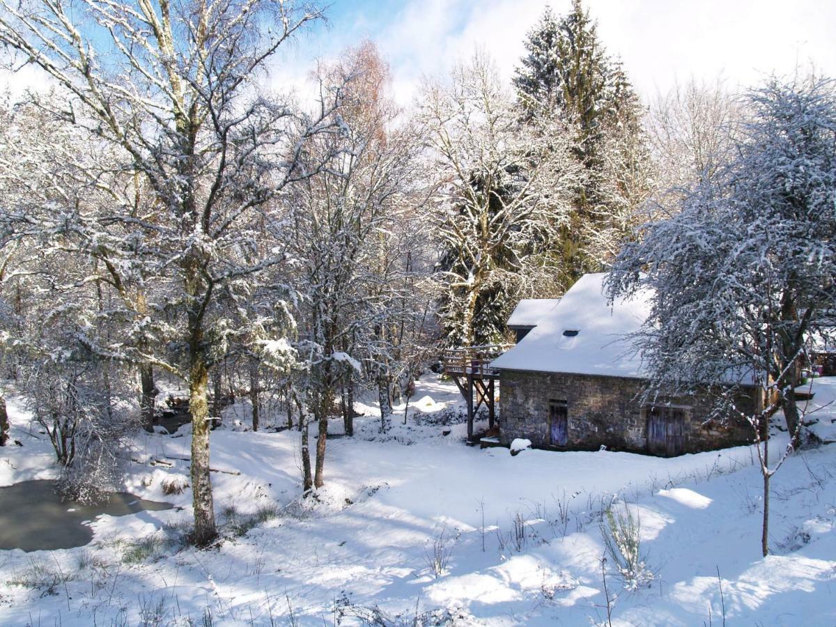 Gite Nature Le Moulin Vitrac-sur-Montane Εξωτερικό φωτογραφία