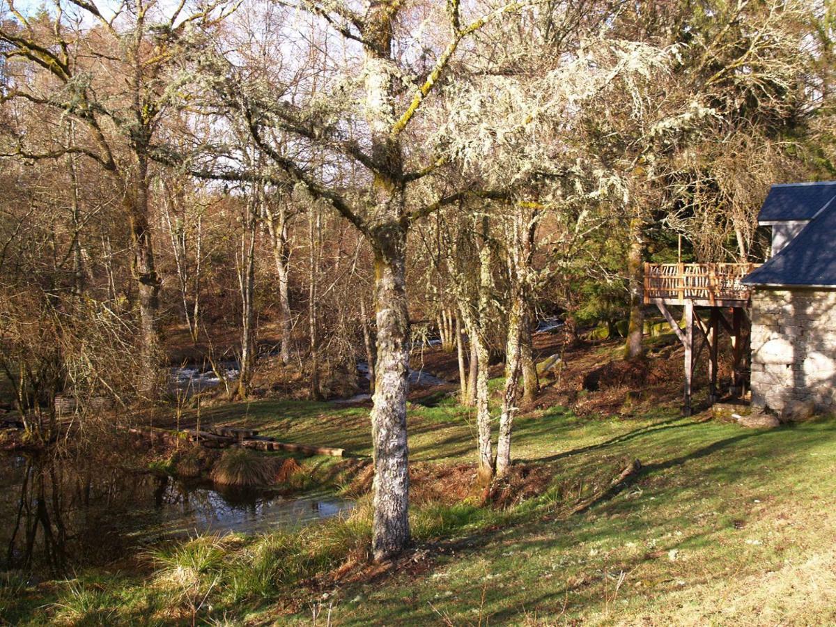 Gite Nature Le Moulin Vitrac-sur-Montane Εξωτερικό φωτογραφία
