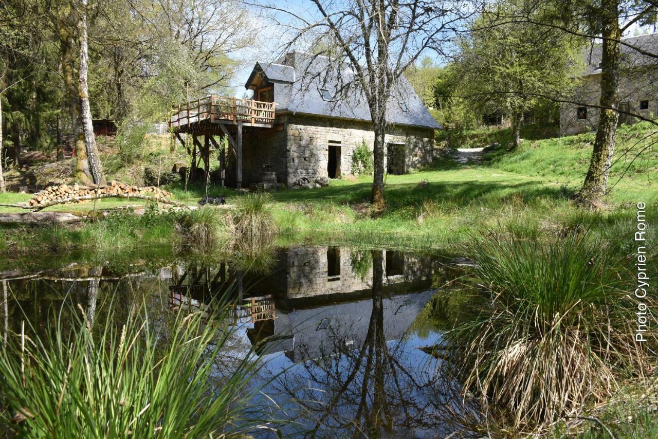 Gite Nature Le Moulin Vitrac-sur-Montane Εξωτερικό φωτογραφία