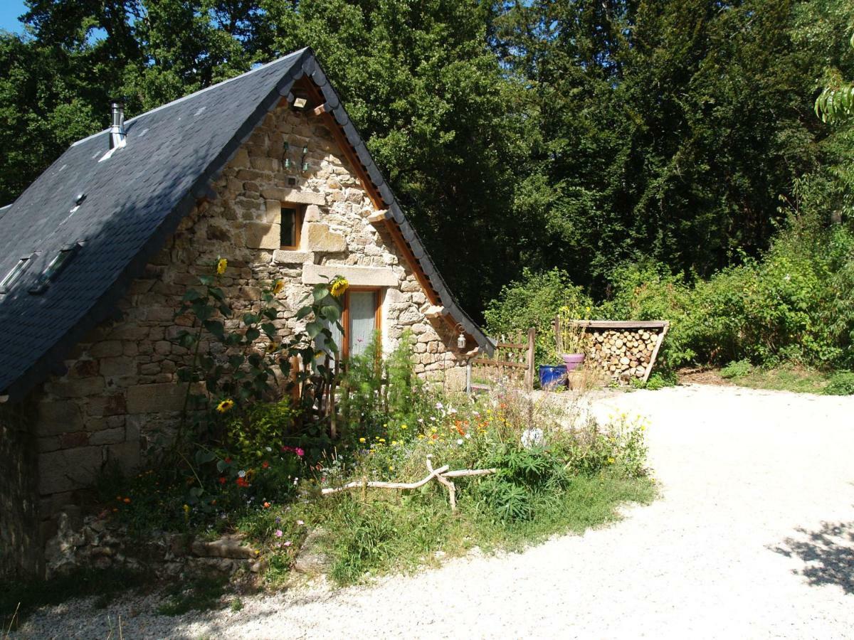 Gite Nature Le Moulin Vitrac-sur-Montane Εξωτερικό φωτογραφία